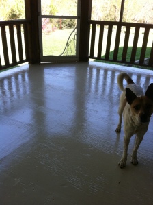 Mazie modelling on the new floor