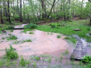 more flooding at the creek